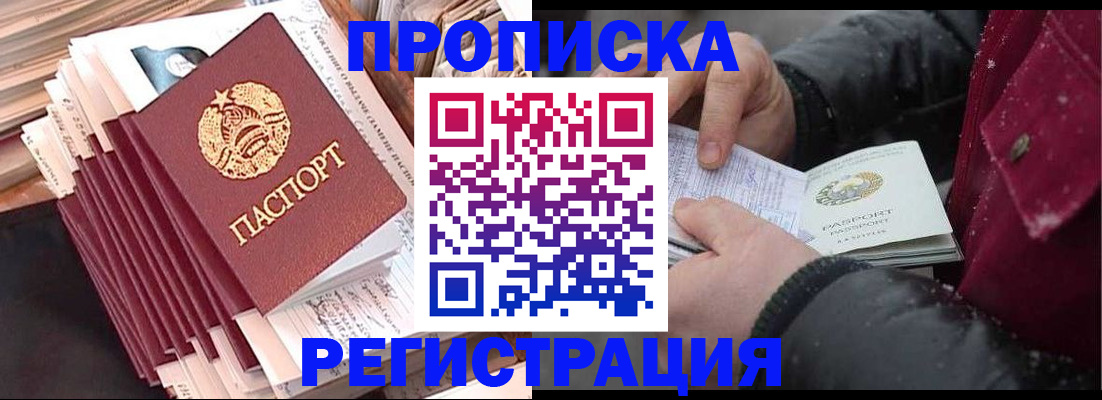 временная регистрация госуслуги в Никольском